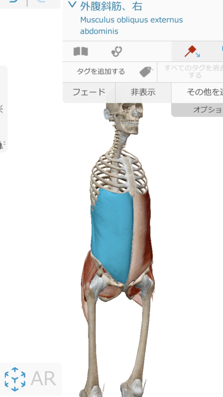高円寺のジムを探すならエベレストフィットネス東高円寺｜完全個室パーソナルジム併設