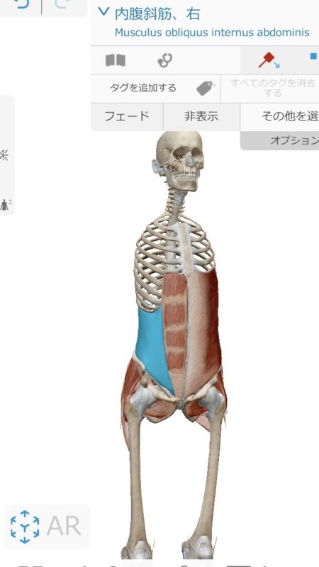 高円寺のジムを探すならエベレストフィットネス東高円寺｜完全個室パーソナルジム併設