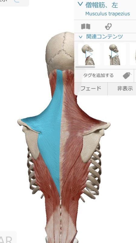 高円寺のジムを探すならエベレストフィットネス東高円寺｜完全個室パーソナルジム併設