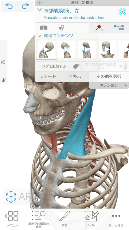 高円寺のジムを探すならエベレストフィットネス東高円寺｜完全個室パーソナルジム併設