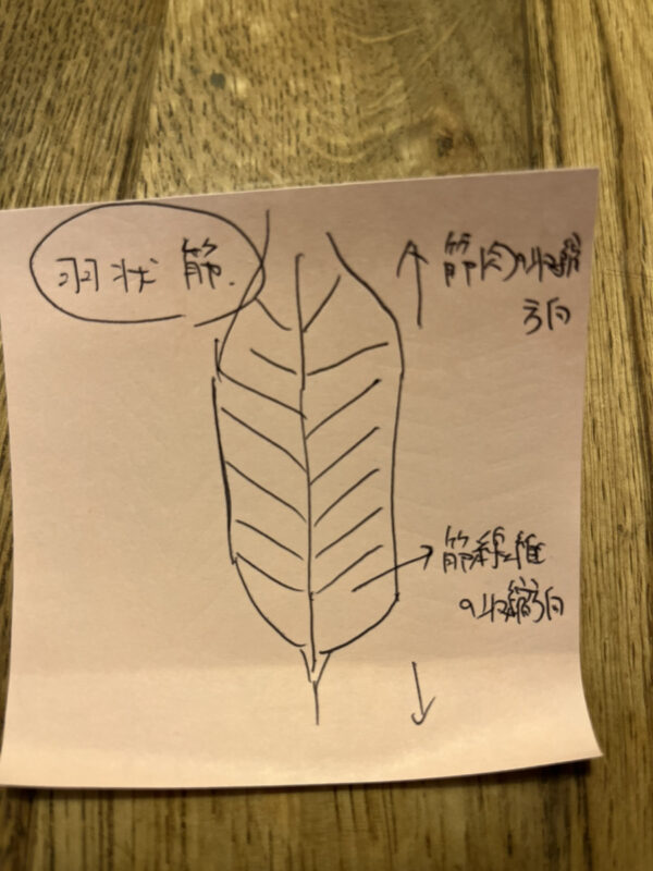 高円寺のジムを探すならエベレストフィットネス東高円寺｜完全個室パーソナルジム併設